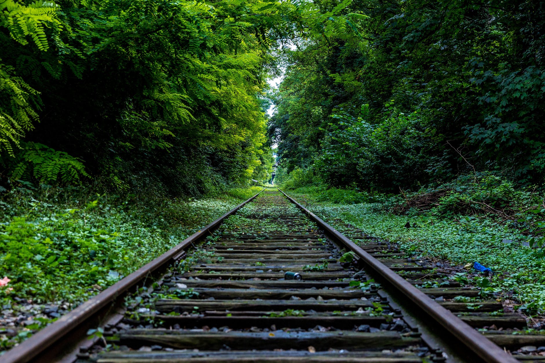 abandoned forest industry nature